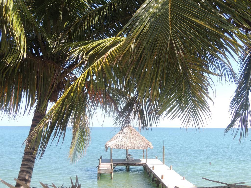 Parrot Cove Lodge Hopkins Ngoại thất bức ảnh
